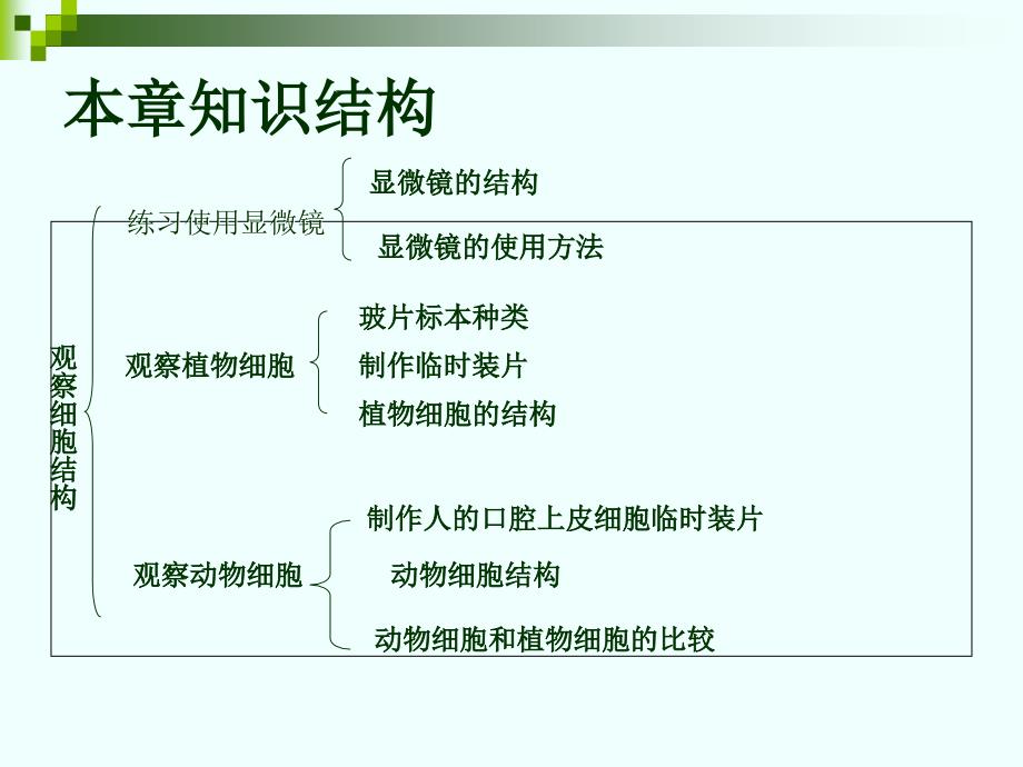 人教版七年级生物上册第二单元复习_第3页