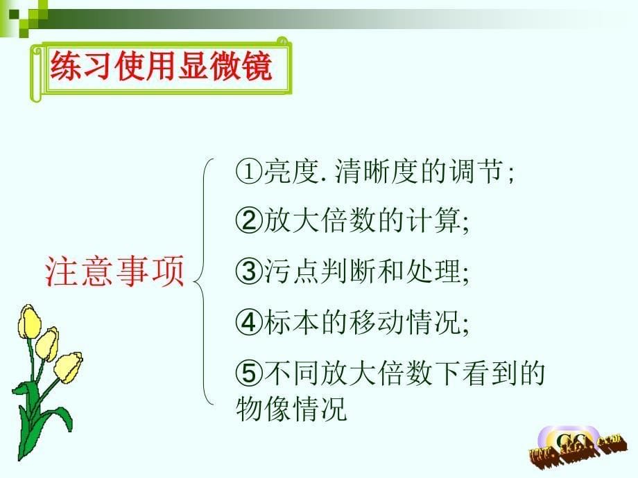 人教版七年级生物上册第二单元复习_第5页