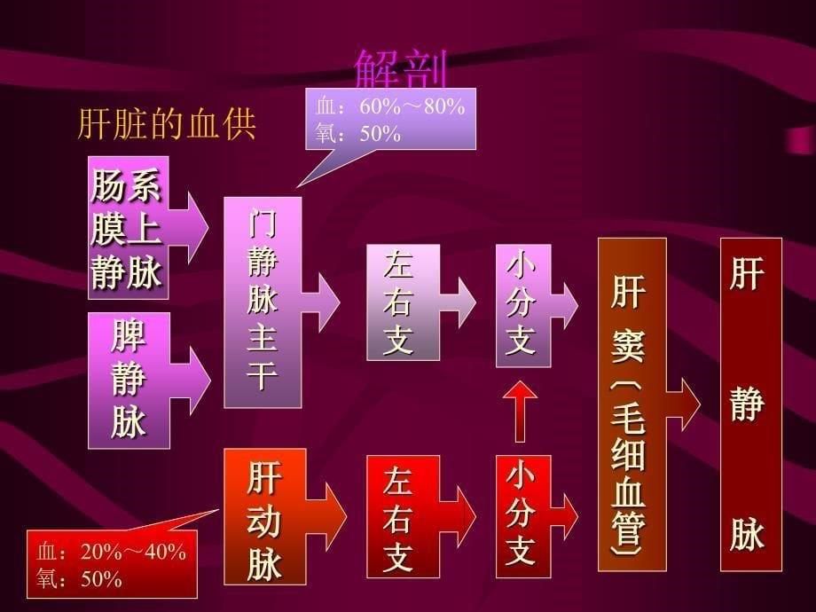 外科学教学课件：门静脉高压症1_第5页