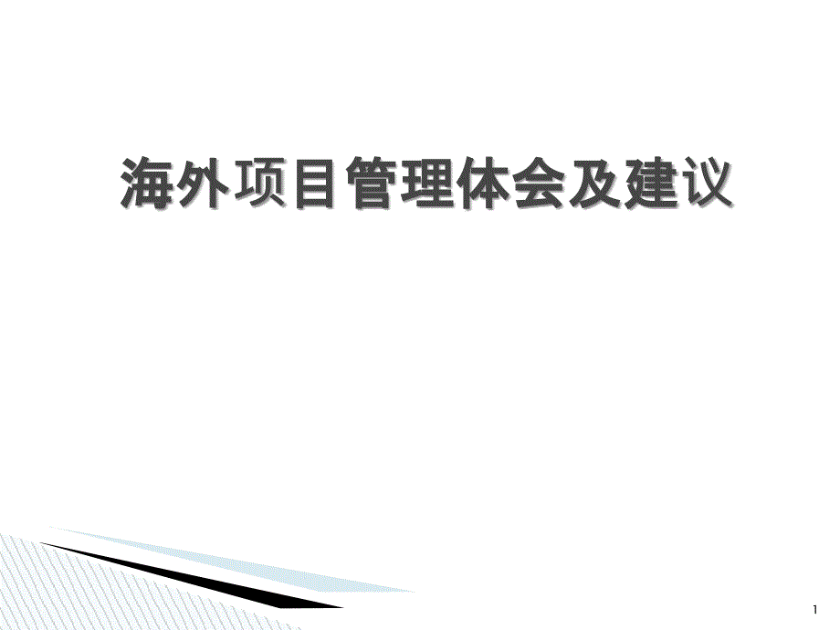 海外项目管理体会及建议_第1页