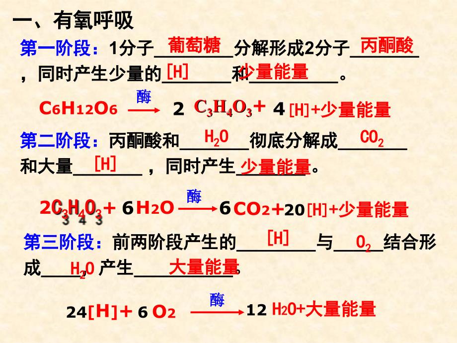 精品一轮复习13细胞呼吸ppt精品课件可编辑_第4页