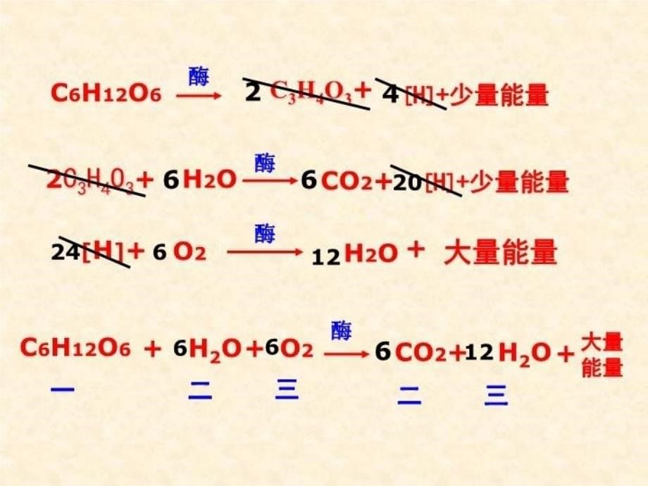 精品一轮复习13细胞呼吸ppt精品课件可编辑_第5页