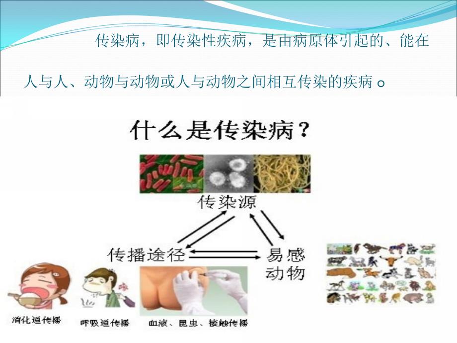 最新培训资料夏季传染病预防幼儿篇ppt课件_第2页