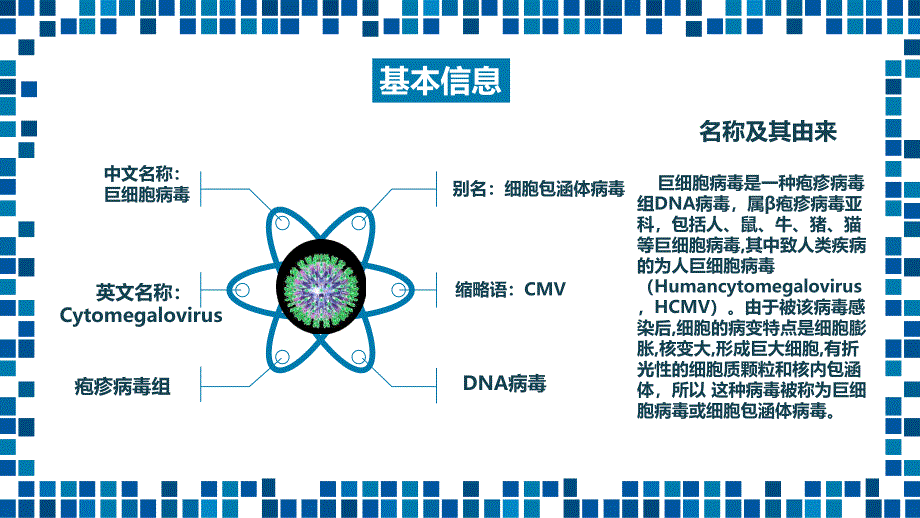 巨细胞病毒护理PPT课件_第4页