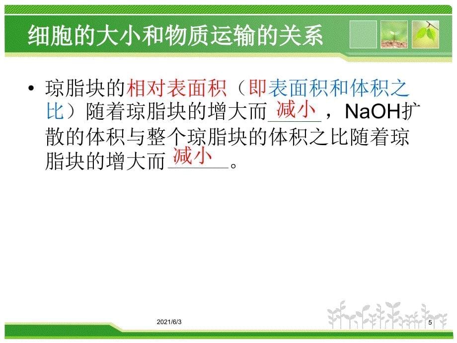 细胞增殖有丝分裂有动画视频和精美图文PPT优秀课件_第5页