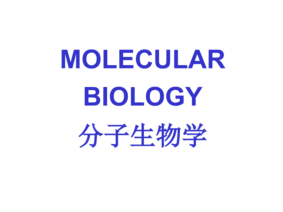 章核酸结构与功能_第1页