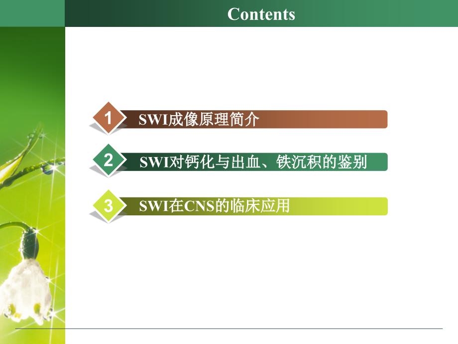 SWI的原理及临床应用_第2页