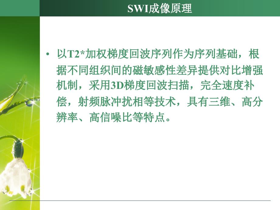 SWI的原理及临床应用_第4页