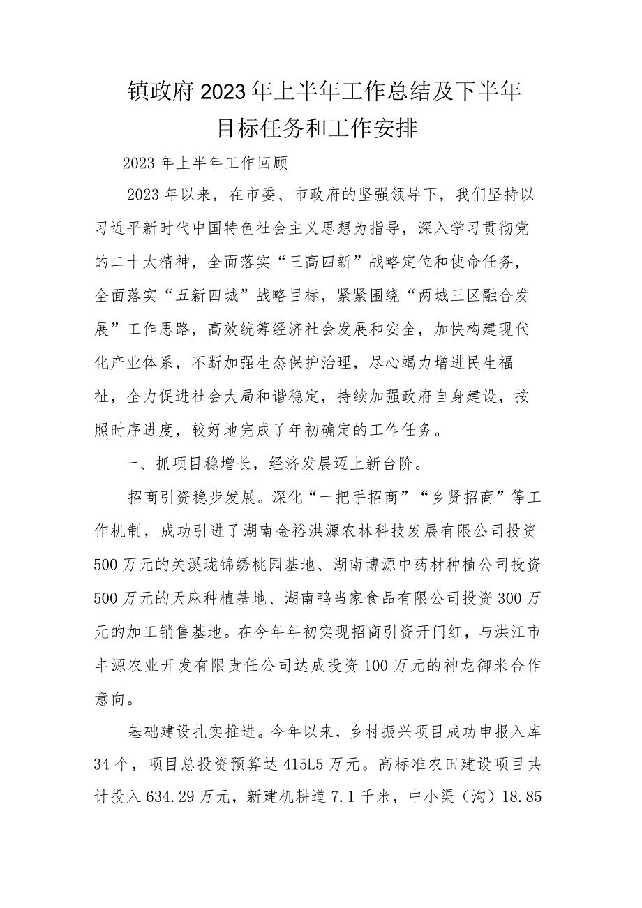 镇政府2023年上半年工作总结及下半年目标任务和工作安排_第1页