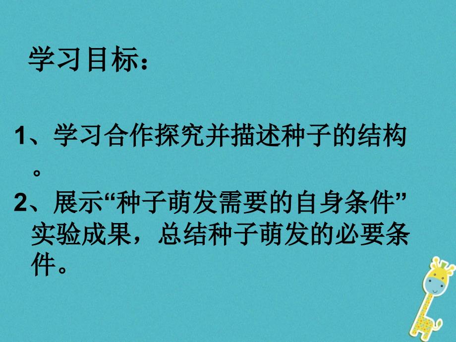 精品七年级生物上册5.1植物种子的萌发课件新版苏教版1精品ppt课件_第2页