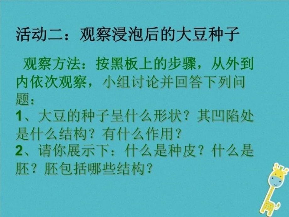 精品七年级生物上册5.1植物种子的萌发课件新版苏教版1精品ppt课件_第5页