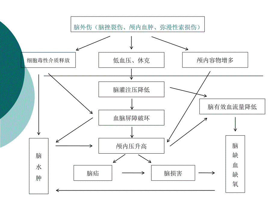 刘宝特重度颅脑外伤icu医生能做些什么？PPT文档资料_第3页