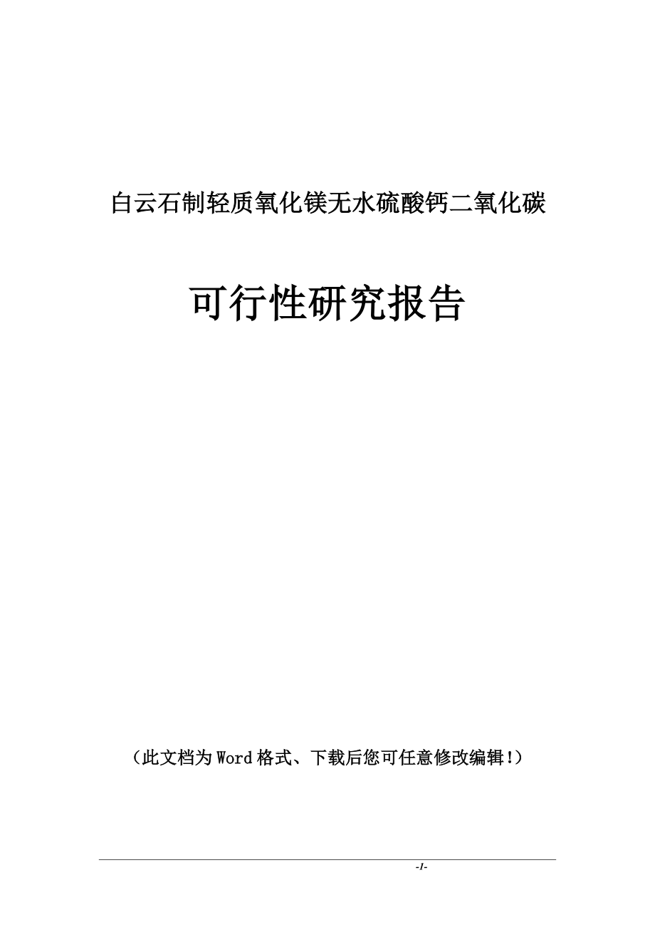 某氧化镁无水硫酸钙二氧化碳项目可行性研究报告_第1页