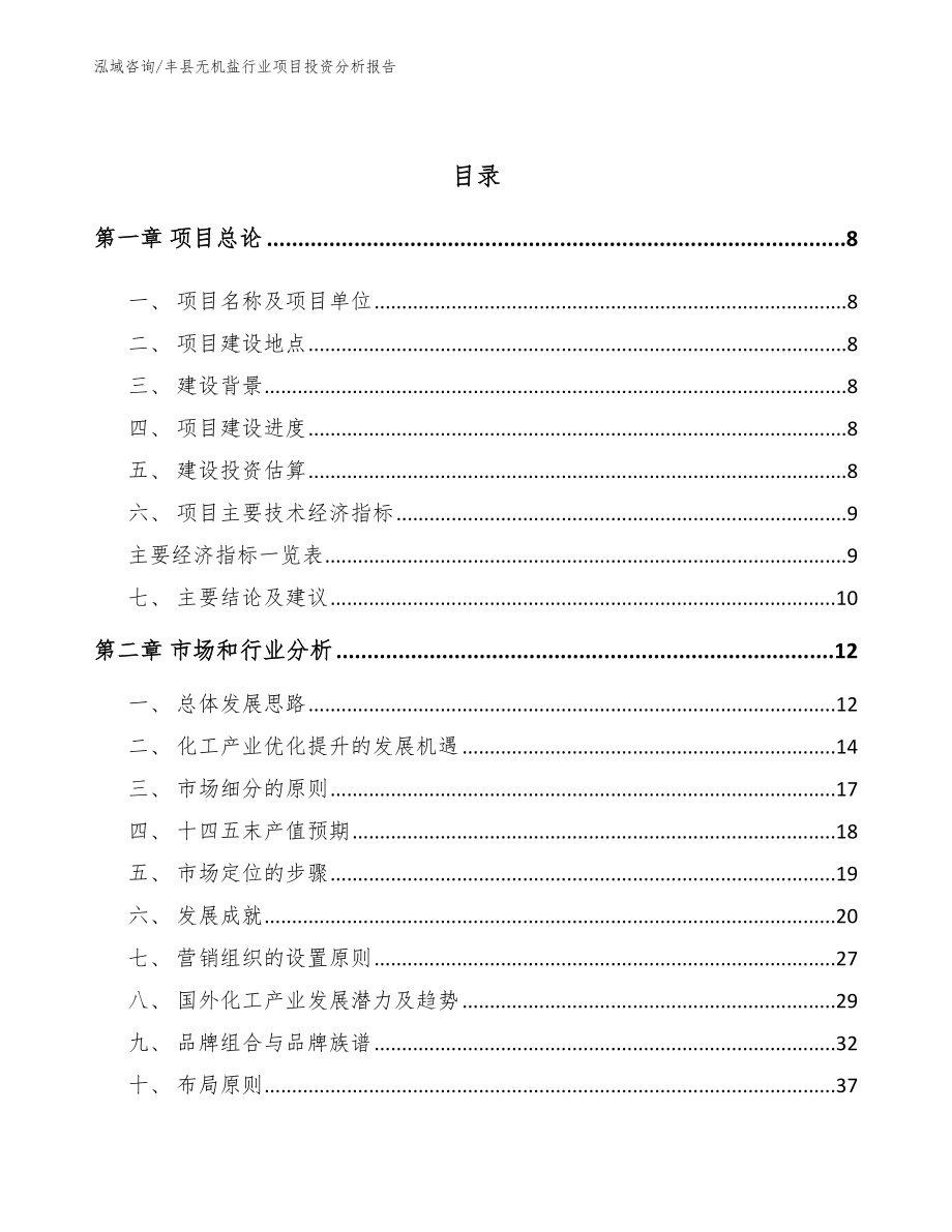 丰县无机盐行业项目投资分析报告（模板范文）_第3页