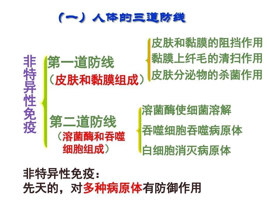 高中生物必修三24免疫调节_第5页