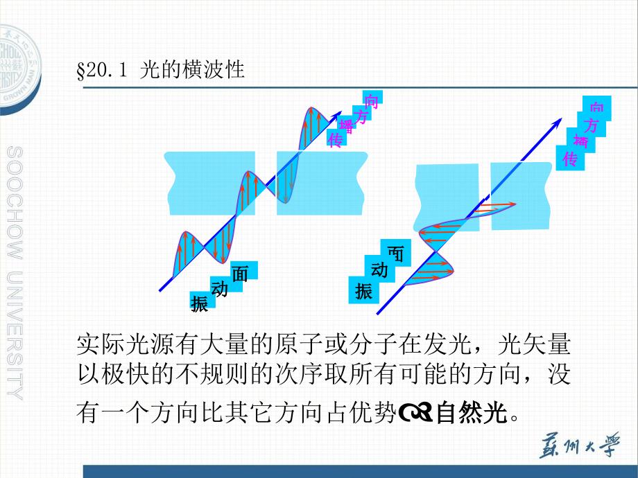 大学物理课件：光的偏振_第3页