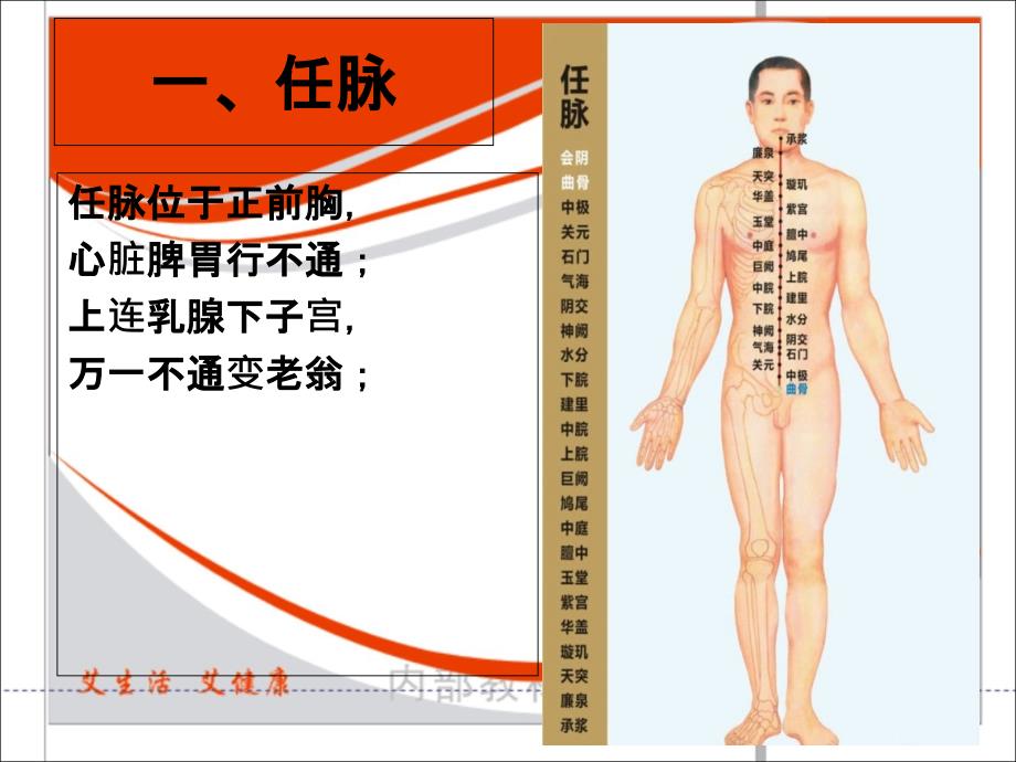 主要穴位讲解资料讲解_第4页