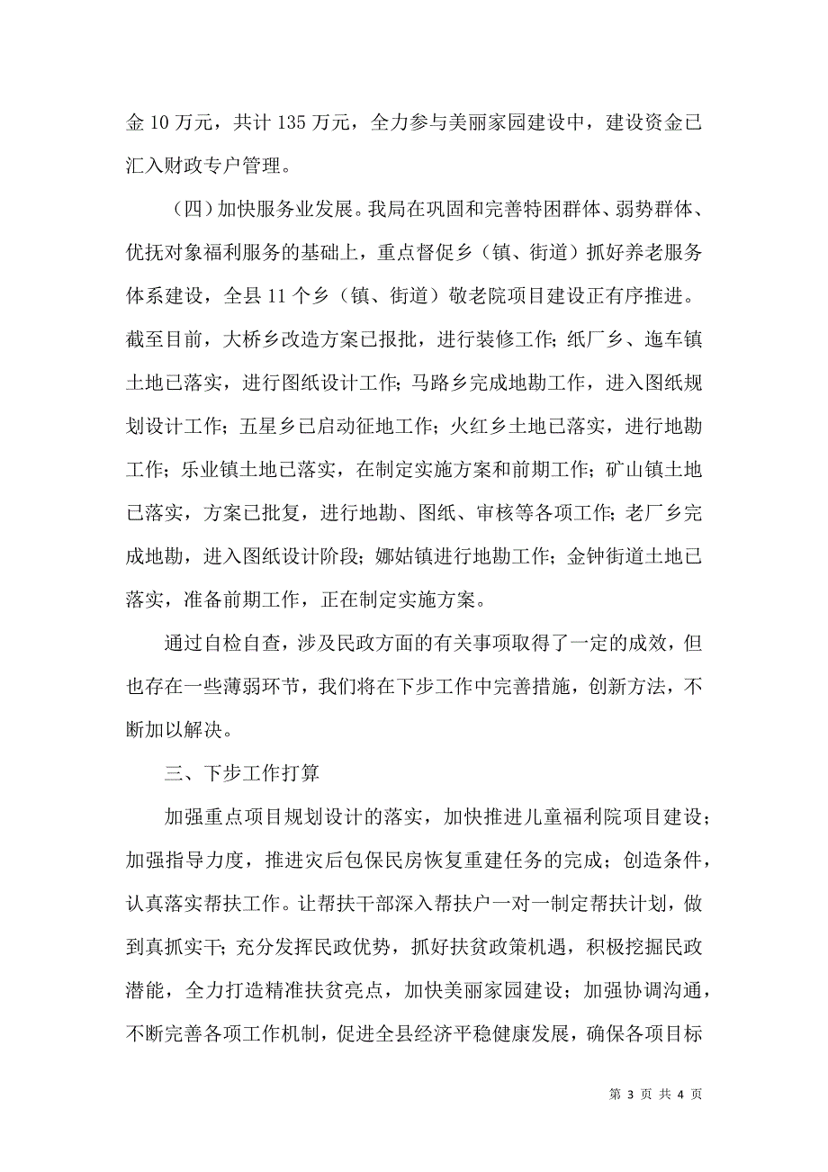 民政局自检自查报告.doc_第3页