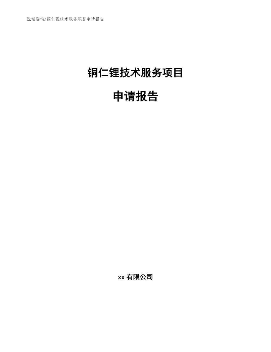 铜仁锂技术服务项目申请报告_范文_第1页