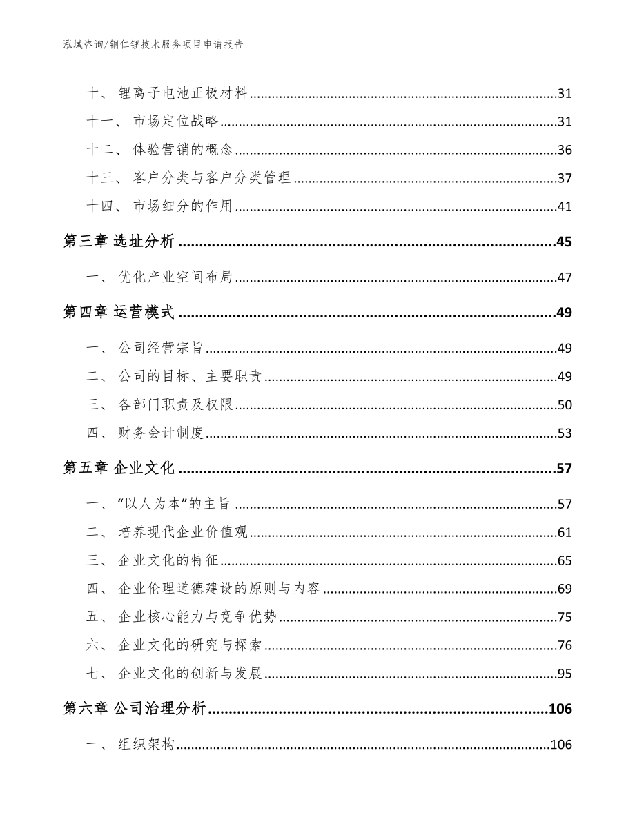 铜仁锂技术服务项目申请报告_范文_第3页