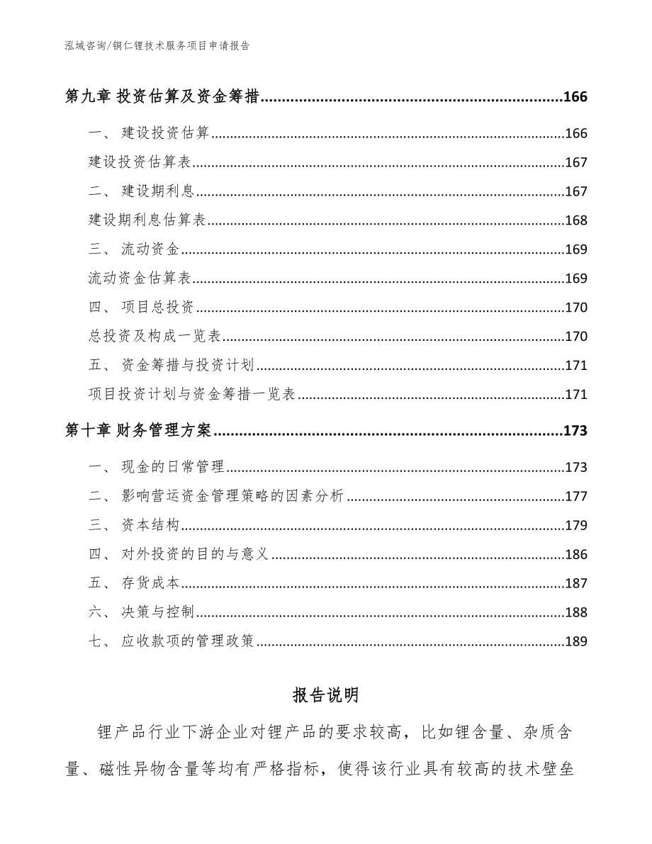 铜仁锂技术服务项目申请报告_范文_第5页