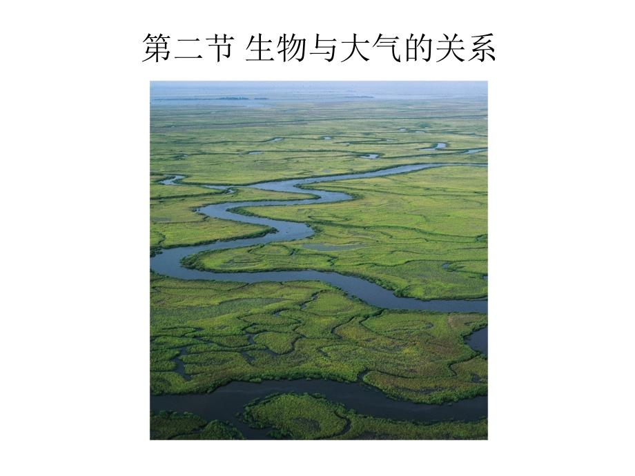 第三章第2节生物与大气的关系_第1页