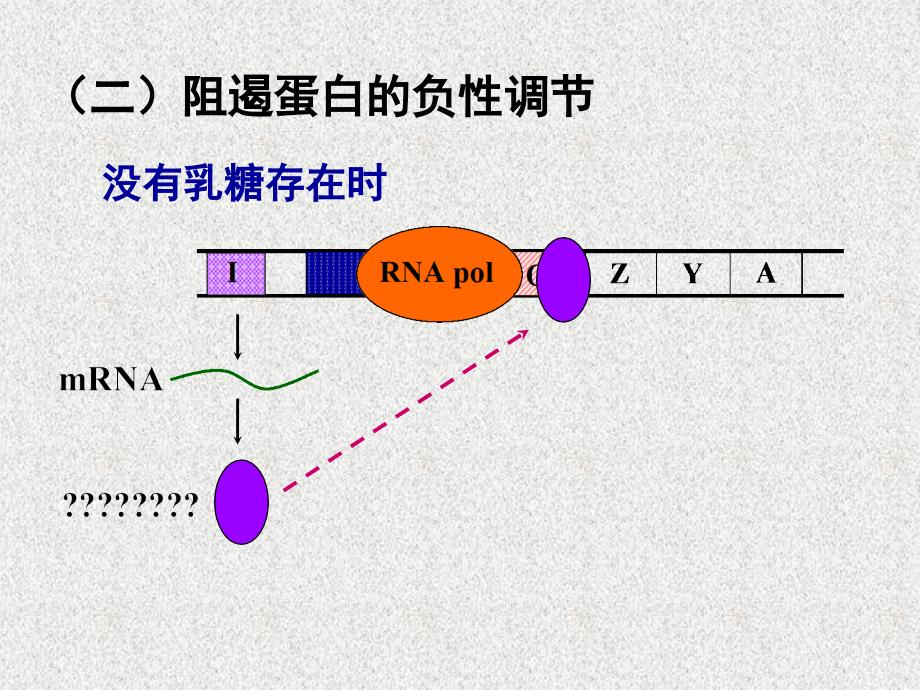 原核基因转录调节_第4页