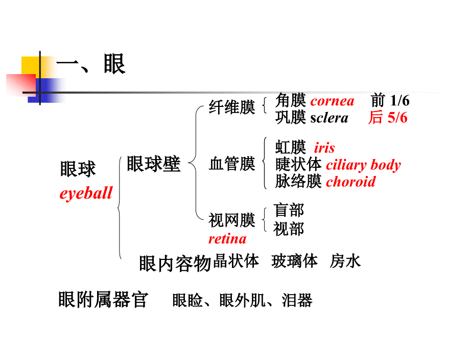 第9章眼和耳ppt课件_第2页