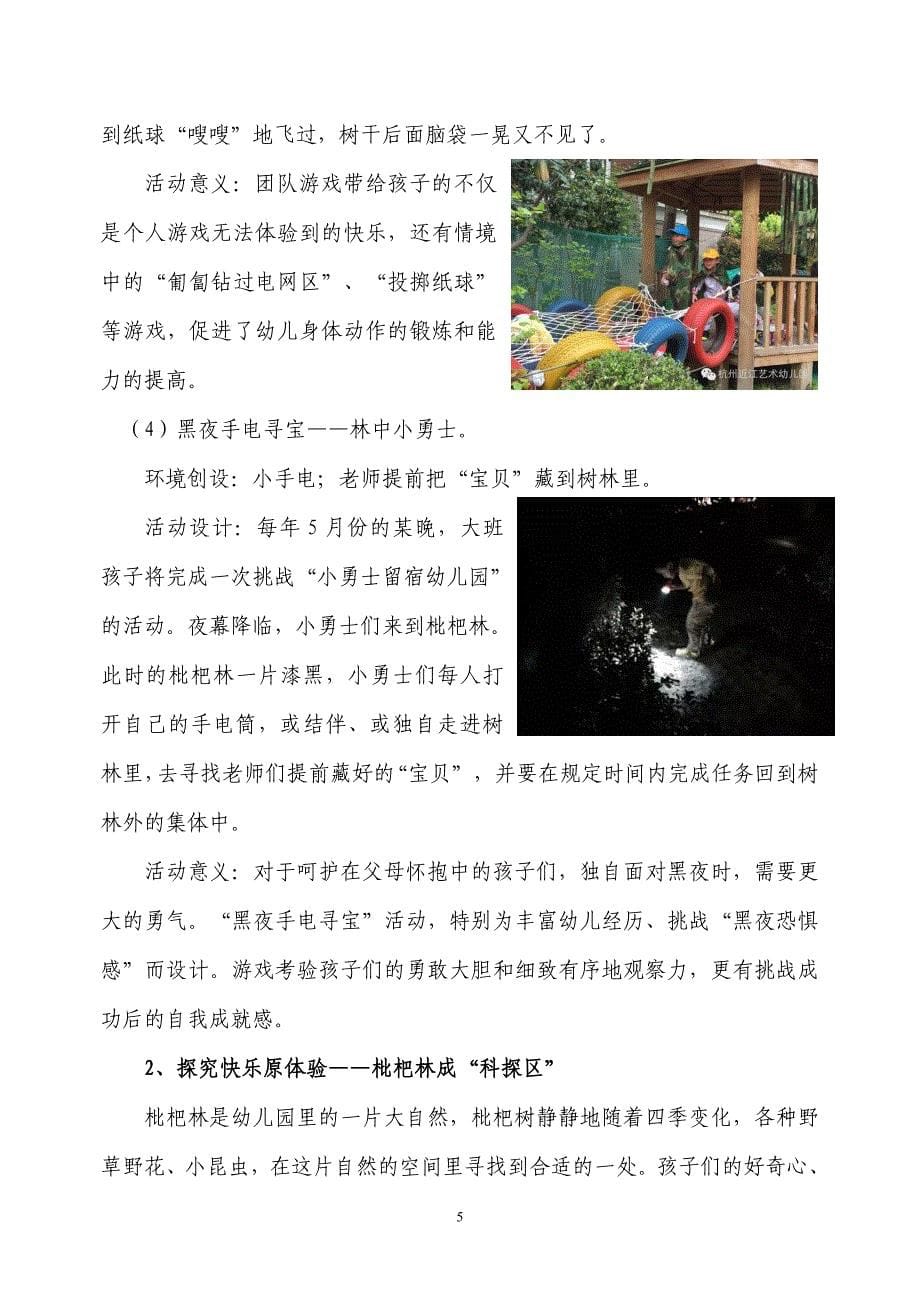 基于园本资源“快乐原体验”项目活动的设计与操作研究模板.doc_第5页