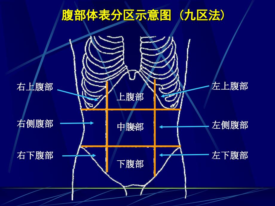 诊断学：腹部常见病变的主要症状和体征_第3页