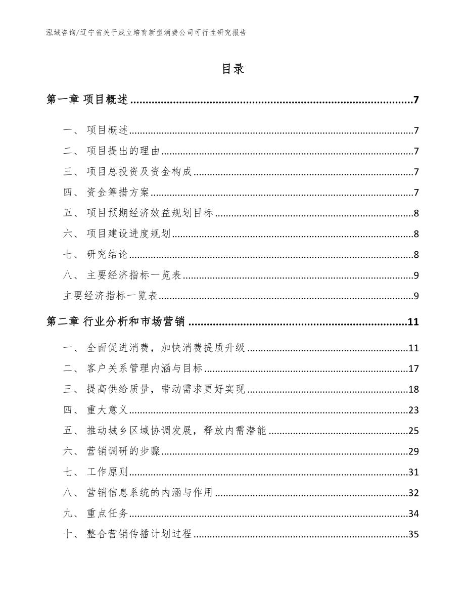 辽宁省关于成立培育新型消费公司可行性研究报告范文_第2页