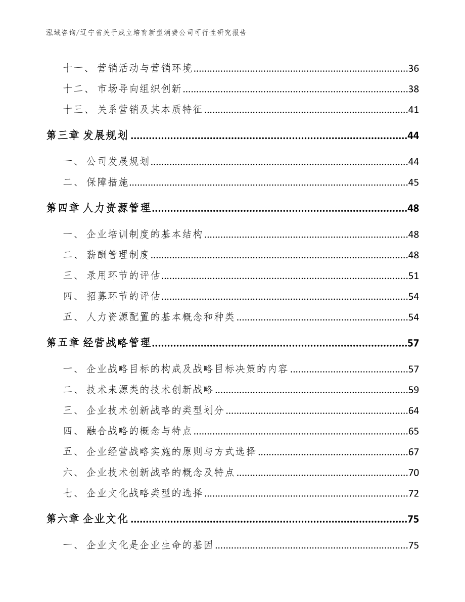 辽宁省关于成立培育新型消费公司可行性研究报告范文_第3页