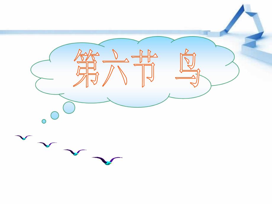八年级生物上册第六节_鸟_第1页
