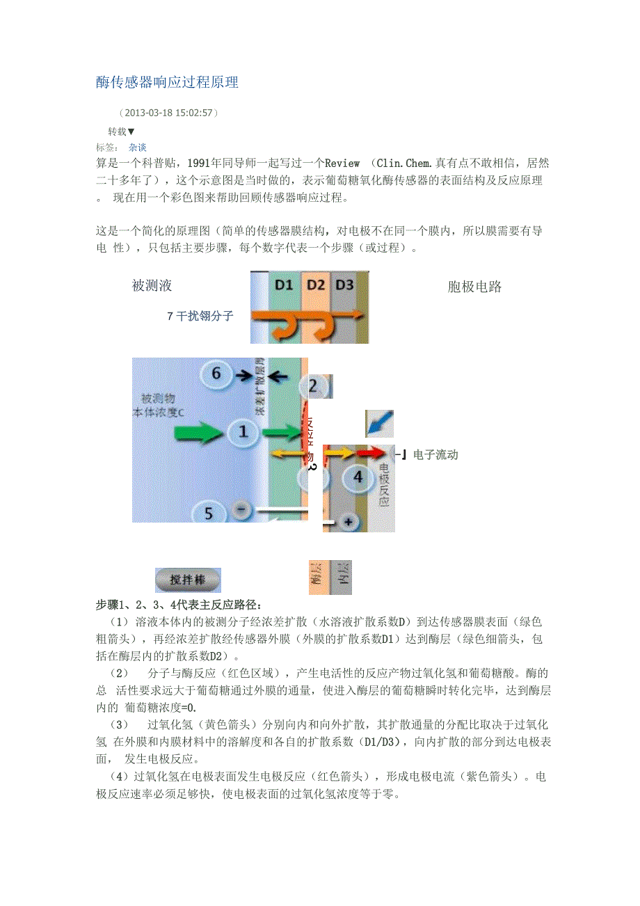 酶传感器响应过程原理_第1页