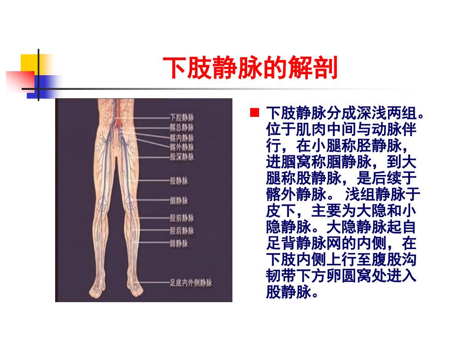 [医药卫生]静脉血栓的诊断和治疗课件_第2页