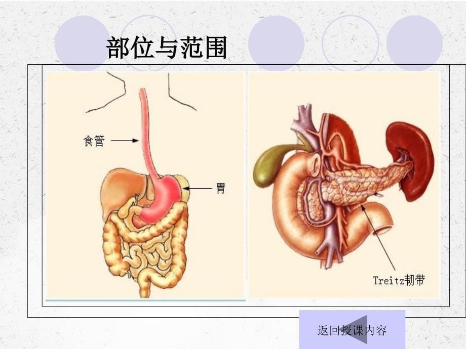 康复上消化道出血课件_第5页