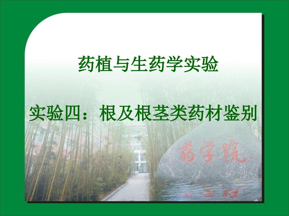 实验四根及根茎类药材鉴_第1页