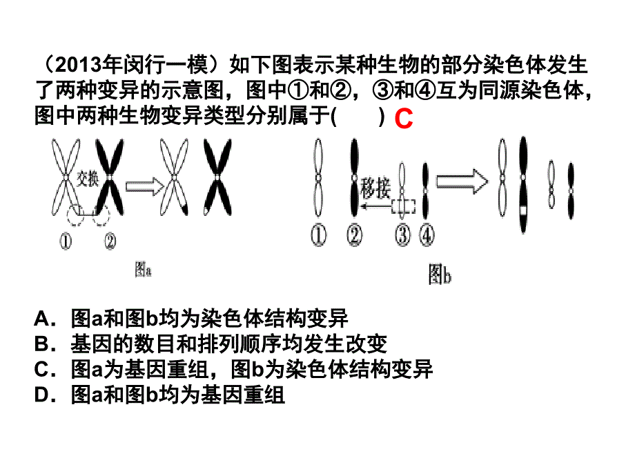 染色体变异15高三复习课件_第2页