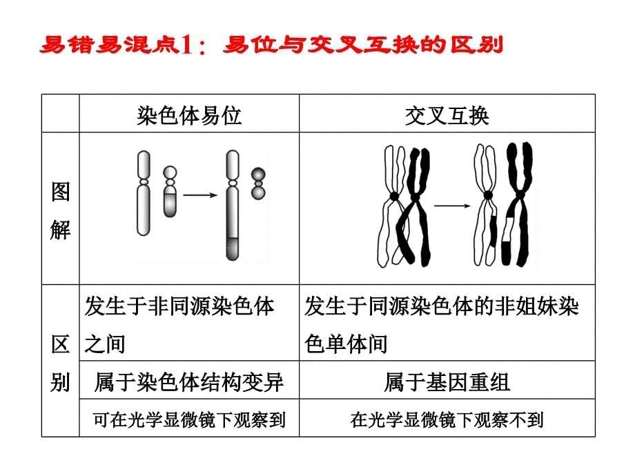 染色体变异15高三复习课件_第5页