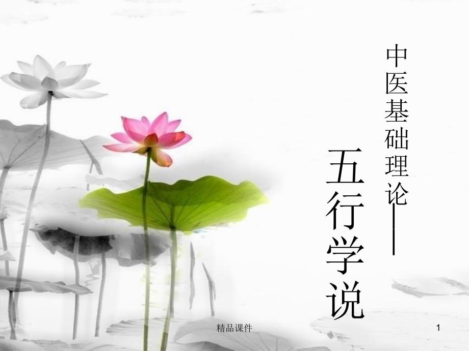 中医基础理论之五行学说课件_第1页