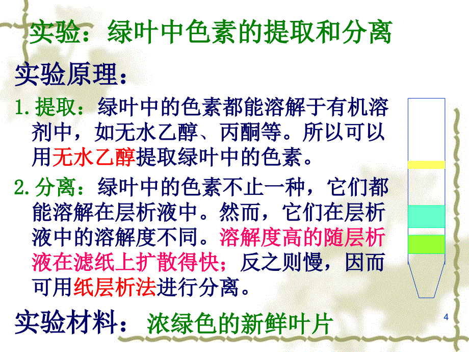 捕获光能的色素和结构53500_第4页