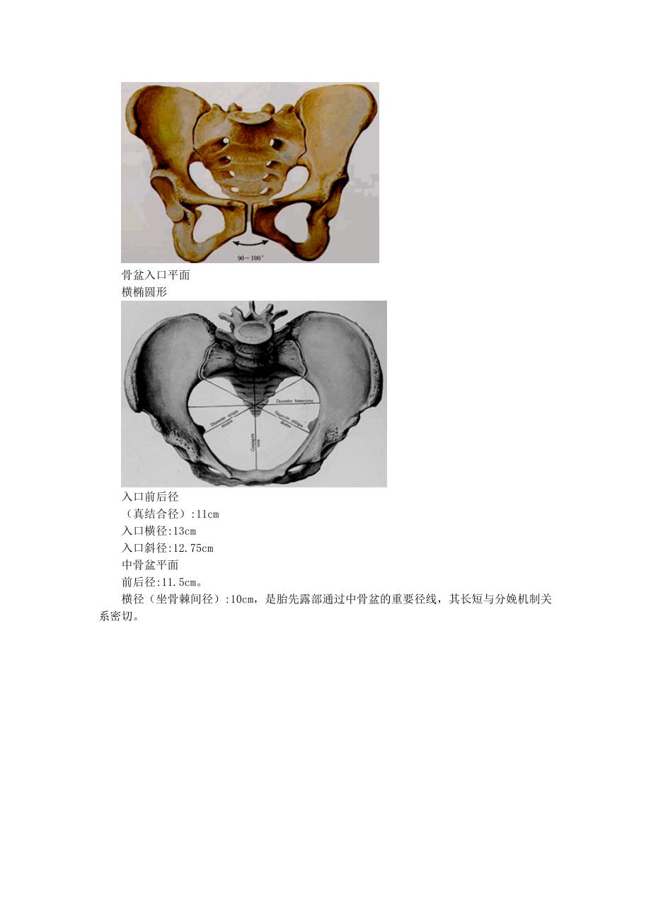 初级护师妇产科精要3_第4页