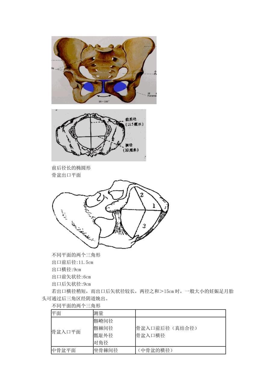 初级护师妇产科精要3_第5页