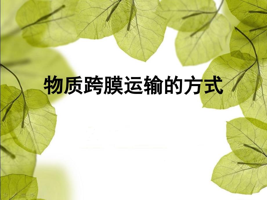 物质跨膜运输的方式 课件_第1页