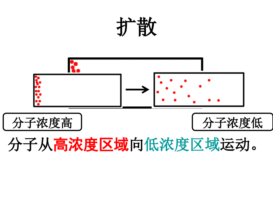 物质跨膜运输的方式 课件_第2页