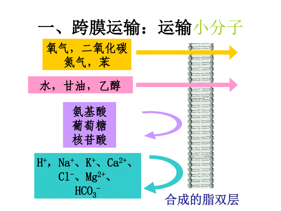 物质跨膜运输的方式 课件_第3页