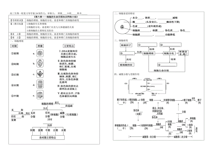 24《第六章——细胞的生命历程知识网络小结》_第1页
