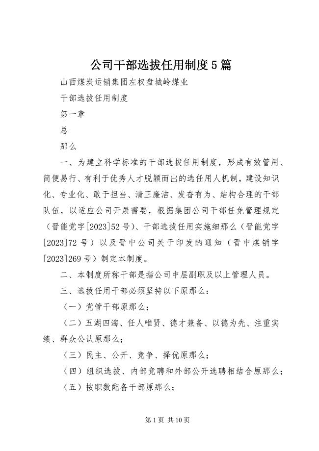 2023年公司干部选拔任用制度5篇.docx