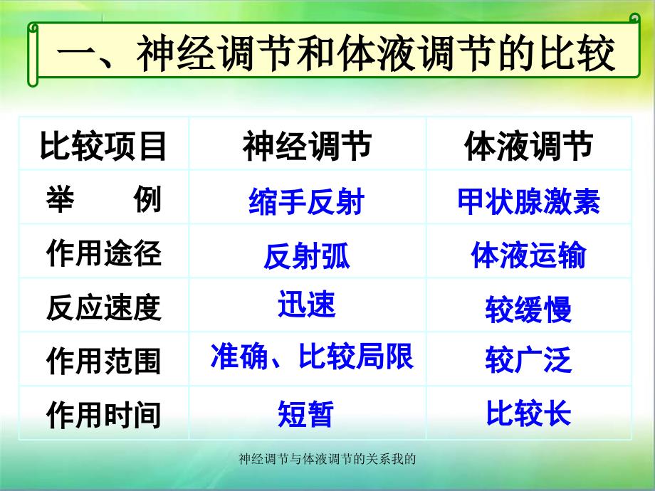 神经调节与体液调节的关系我的课件_第4页