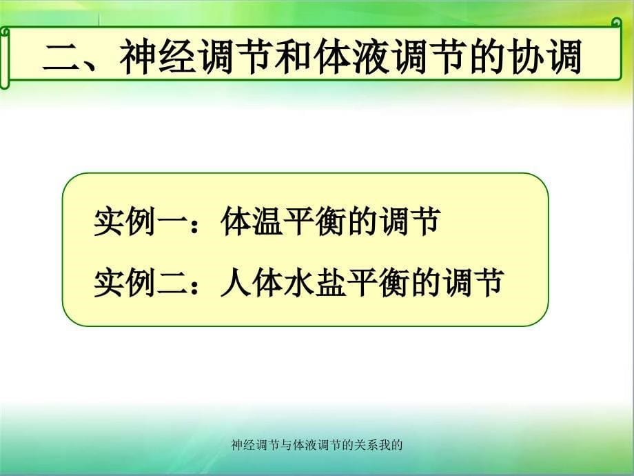 神经调节与体液调节的关系我的课件_第5页